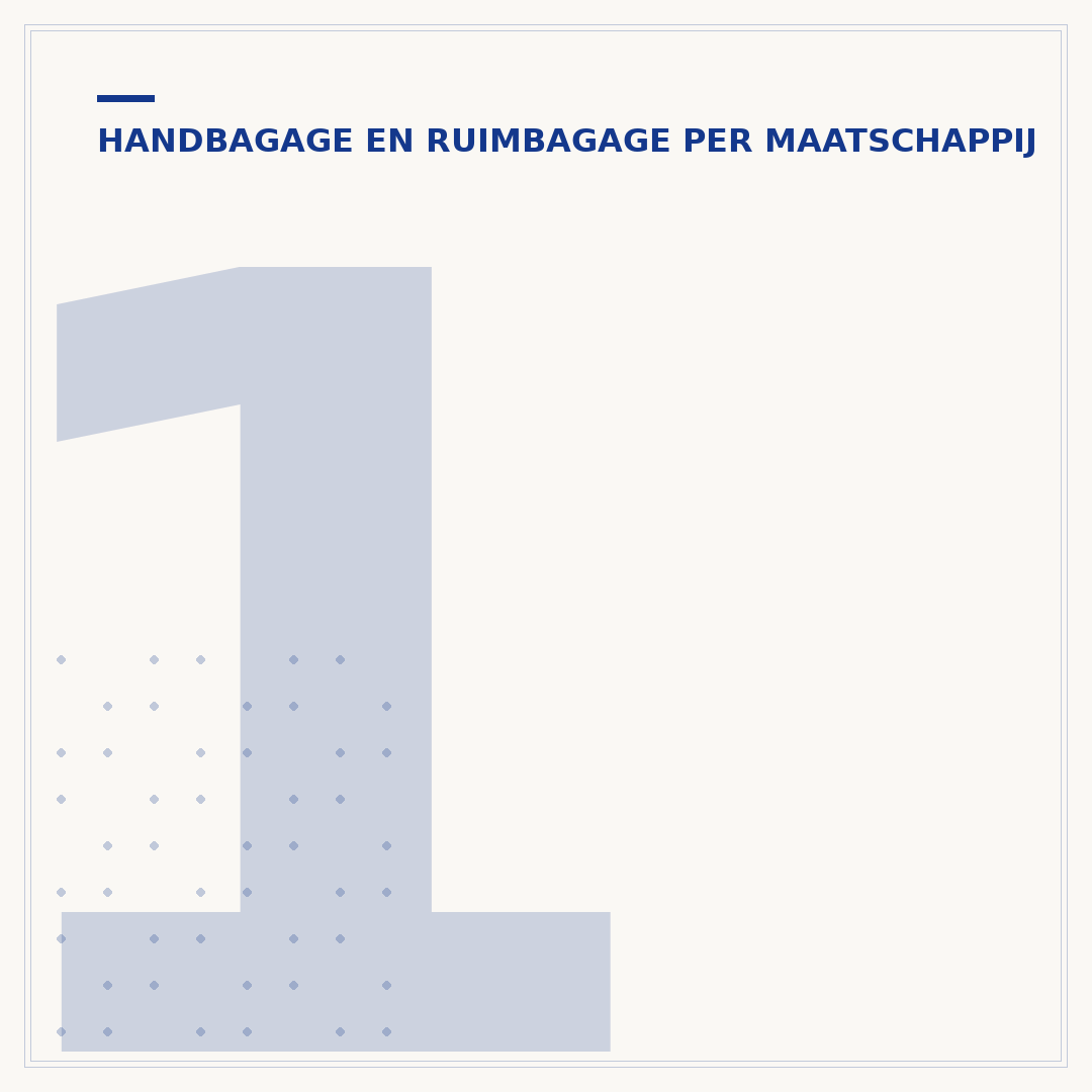 1 liter zak handbagage: welke mag mee in het vliegtuig?