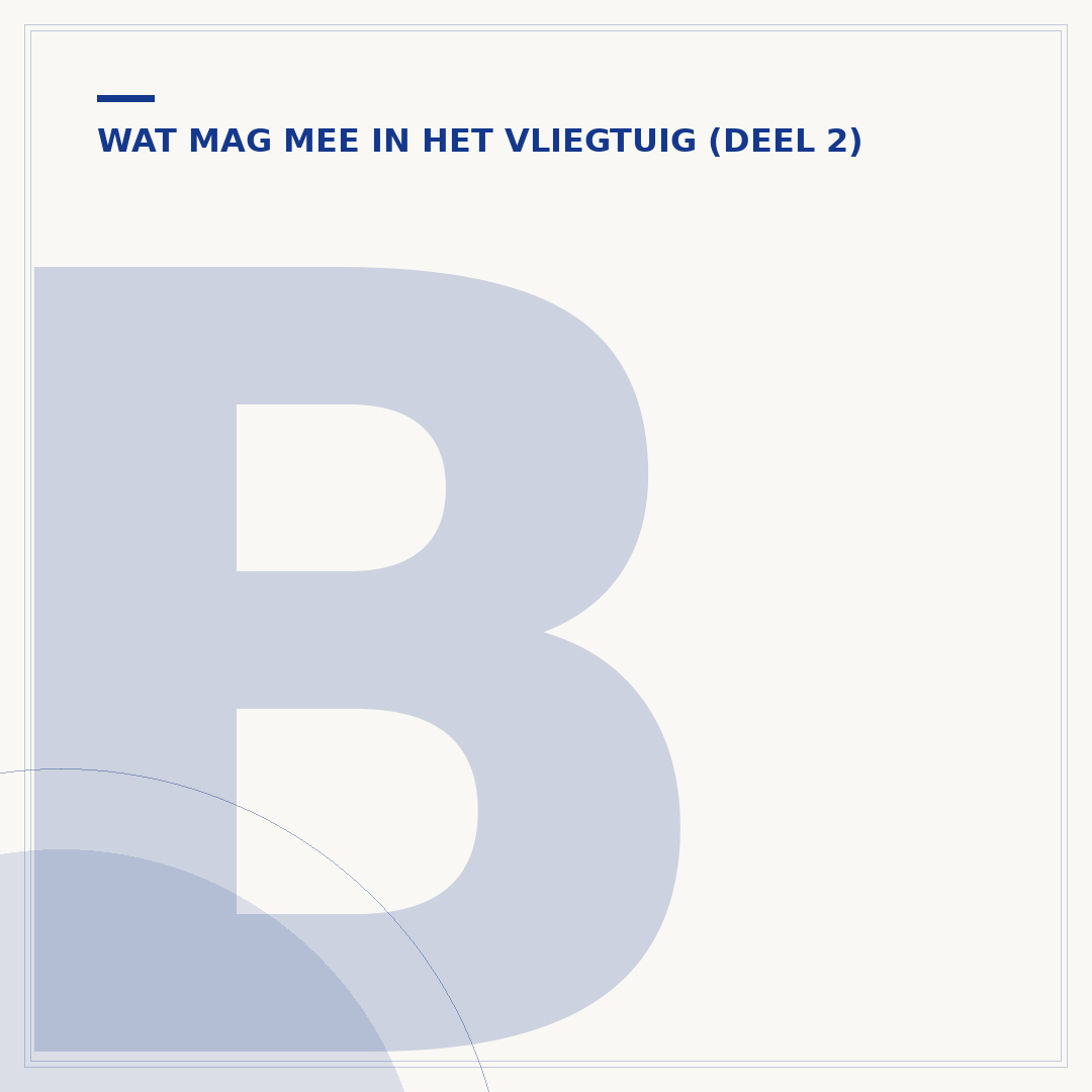 Batterijen in handbagage of ruimbagage: wat mag mee?