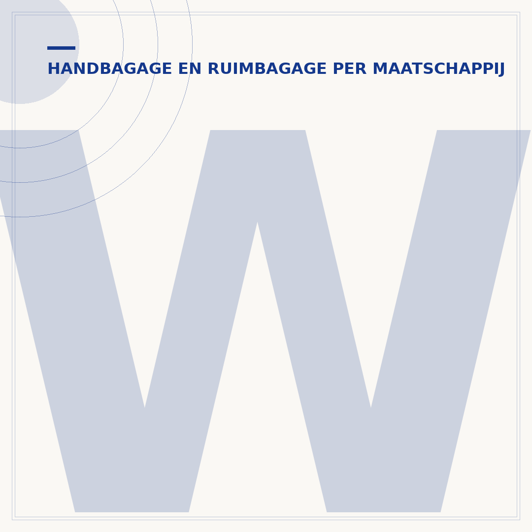 Wat als je handbagage te groot is? Dit gebeurt er dan