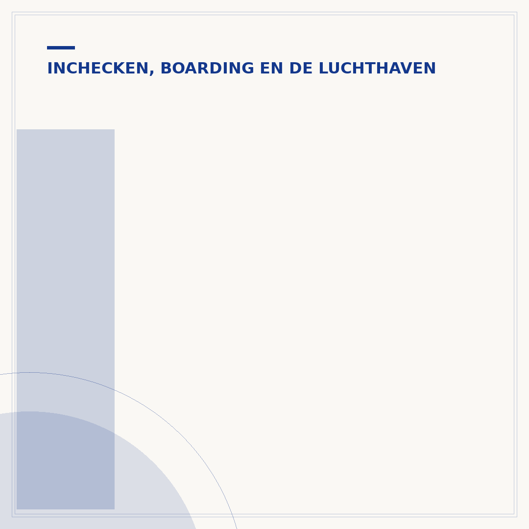 Inchecken bij Norwegian Air: proces en opties
