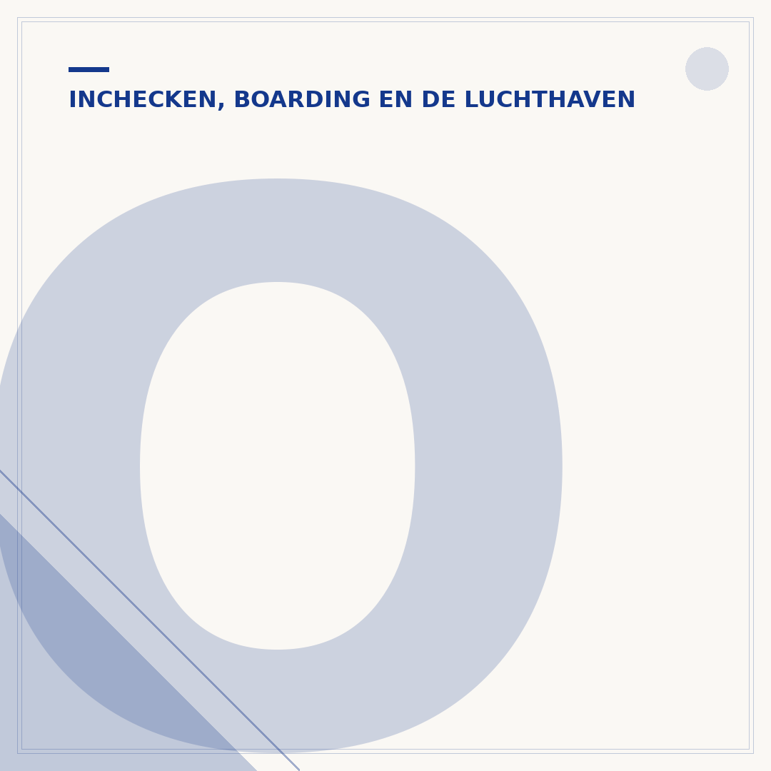 Online inchecken Pegasus: zo verloopt het proces
