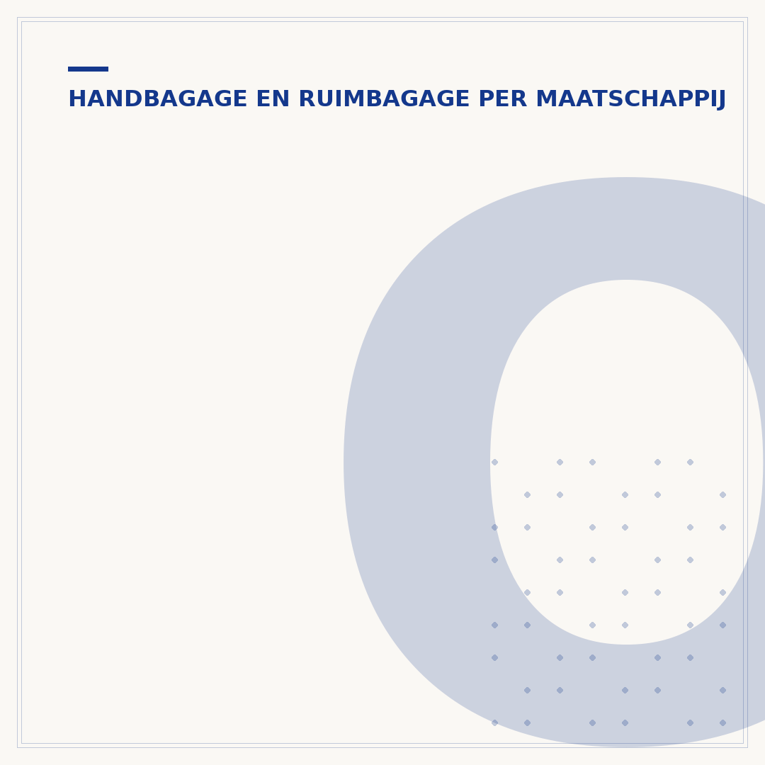 Online inchecken met ruimbagage: zo werkt het
