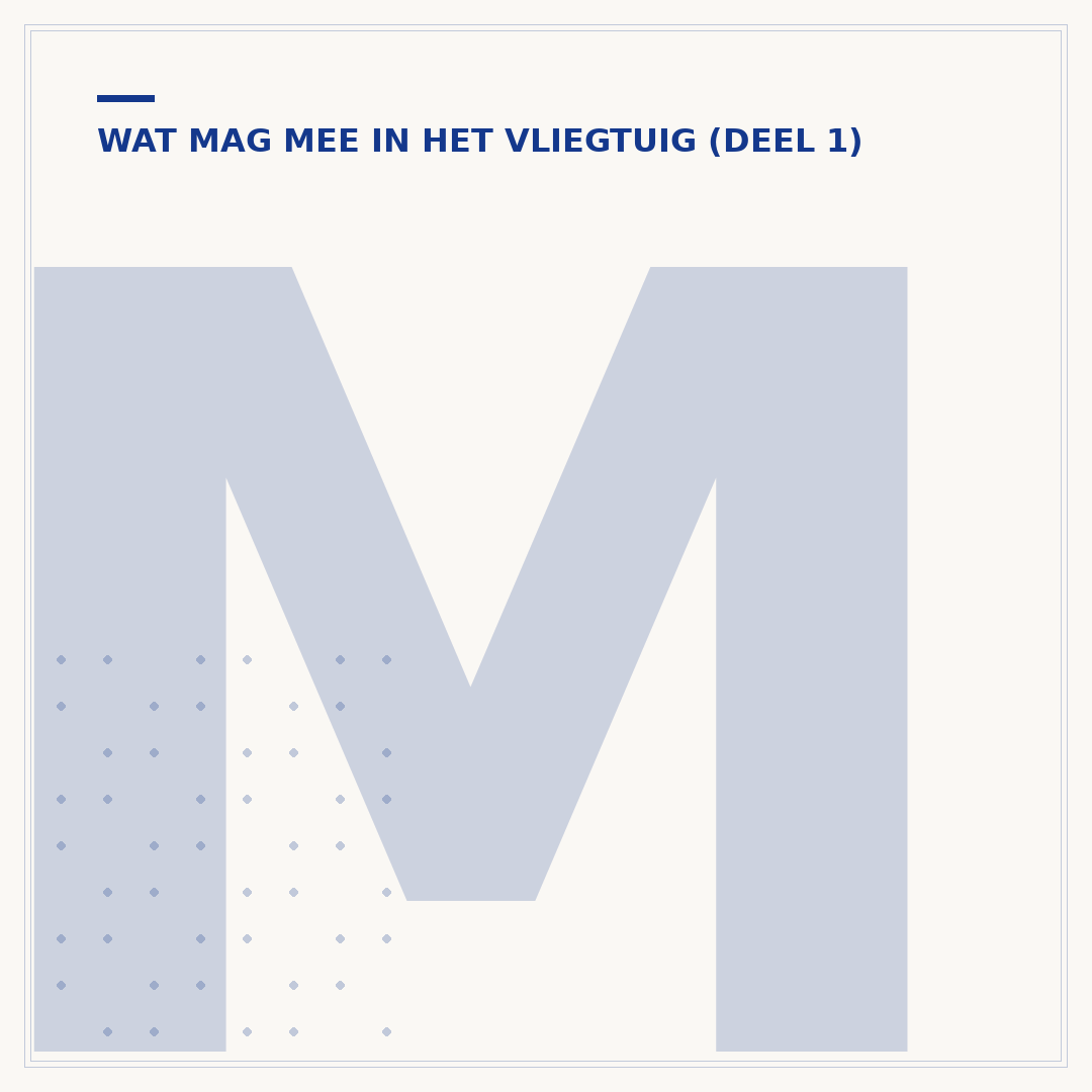 Mag je een paraplu meenemen in het vliegtuig? Regels en tips