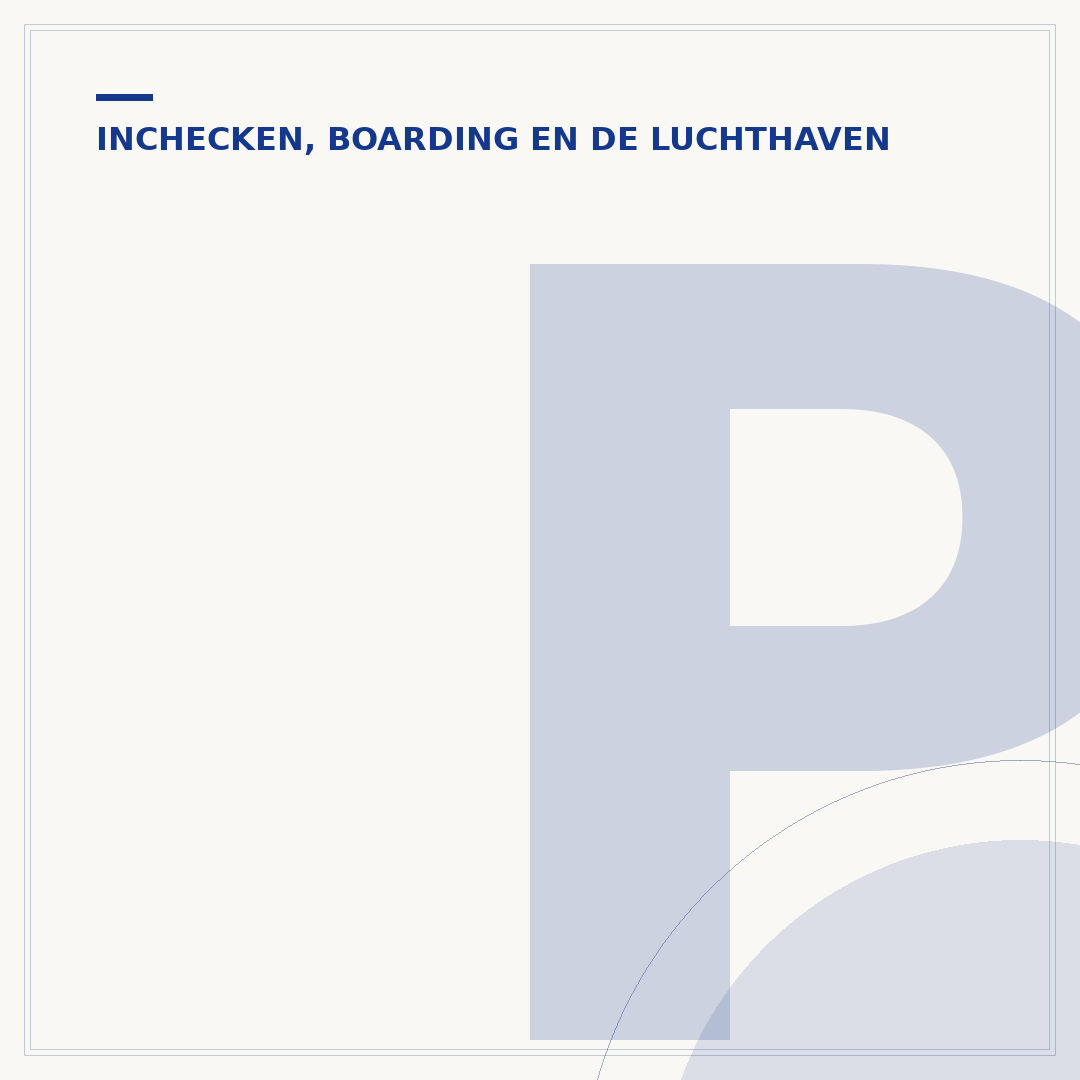 Pegasus inchecken: zo regel je het voor je vlucht
