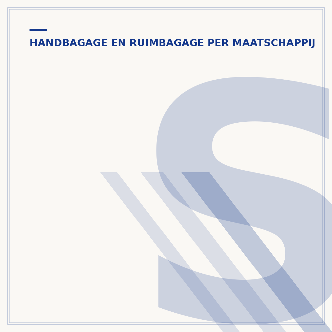 Supplementen in handbagage of ruimbagage: de regels
