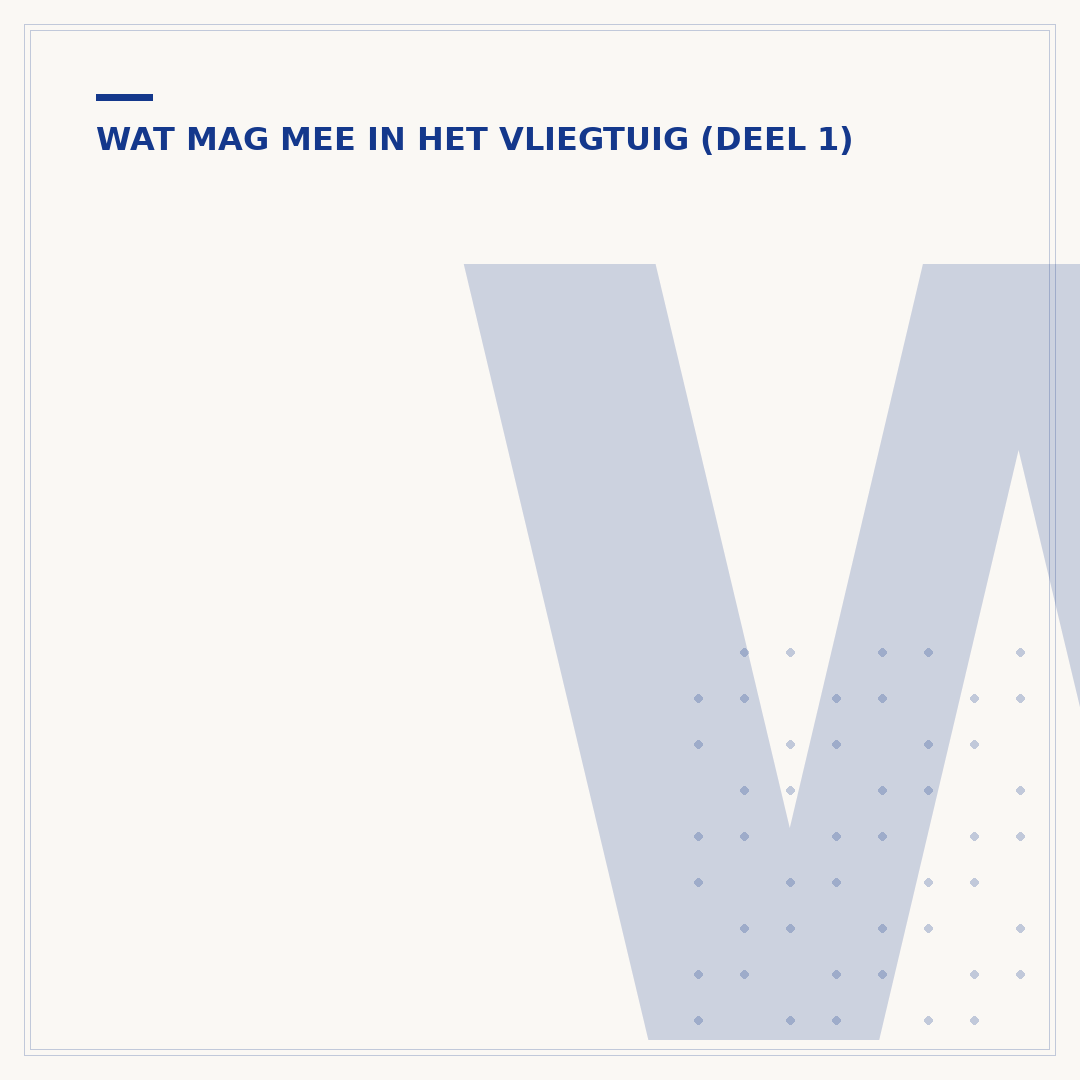 Welke powerbank mag mee in het vliegtuig: de regels