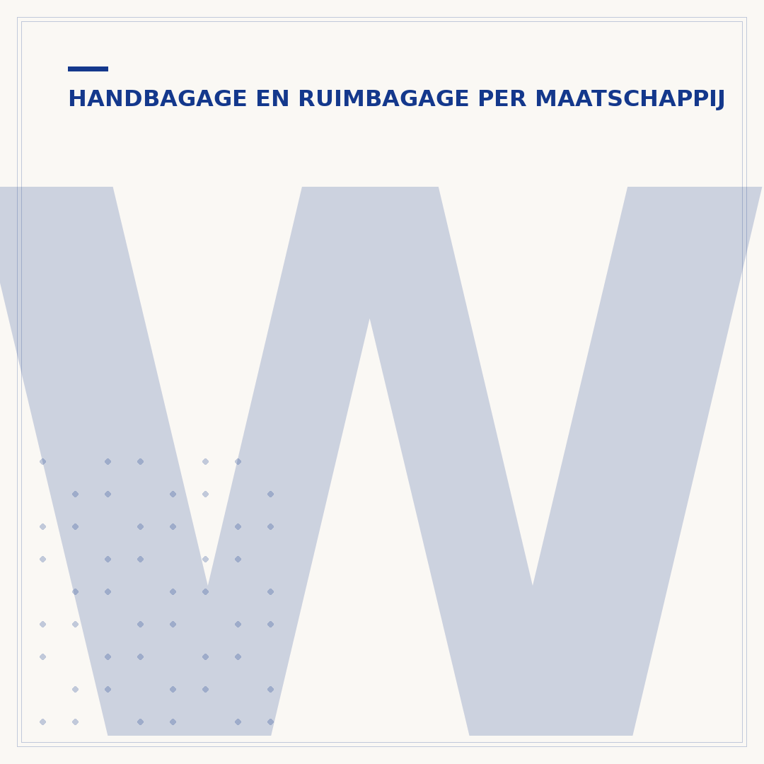 Wizz Air handbagage afmetingen