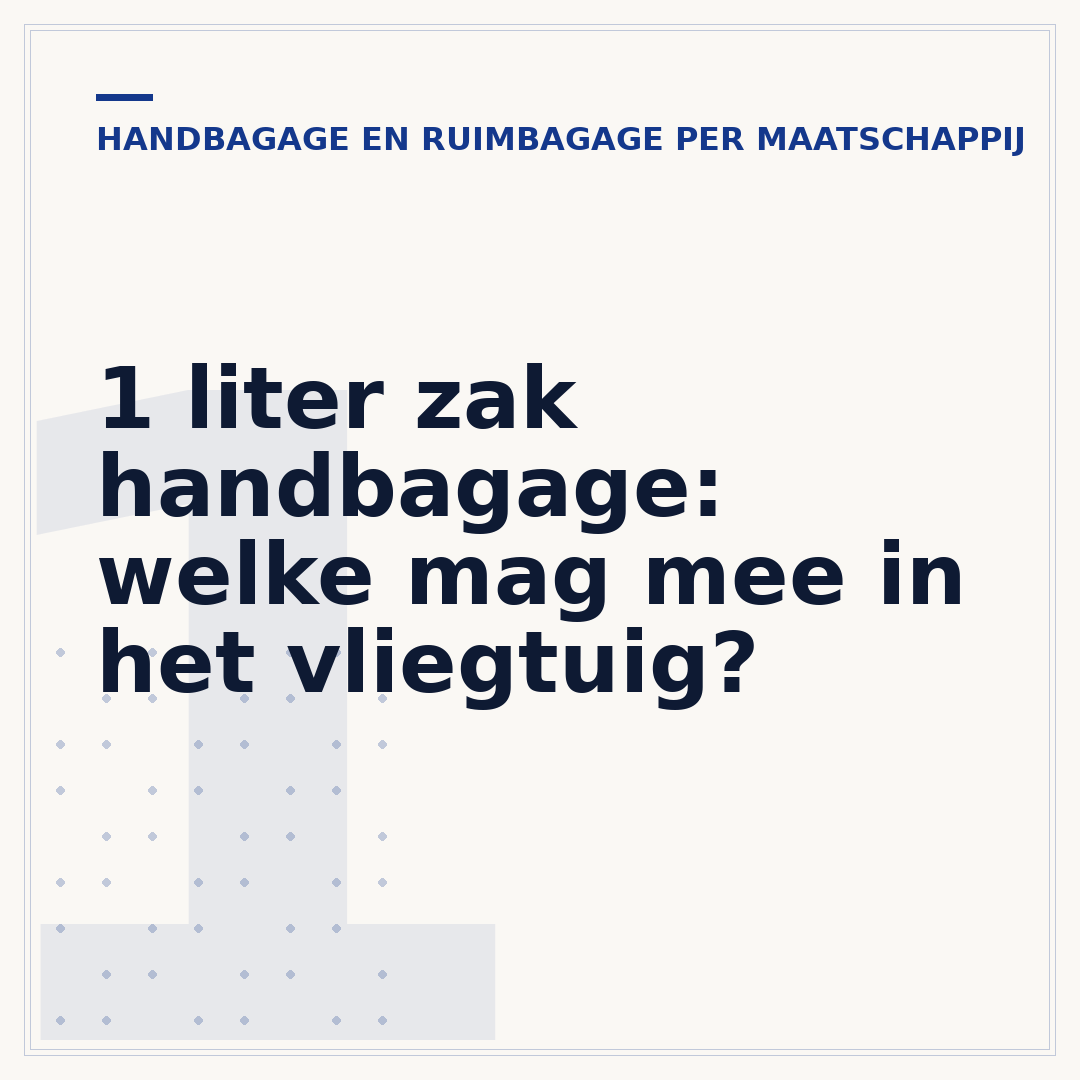 1 liter zak handbagage: welke mag mee in het vliegtuig?
