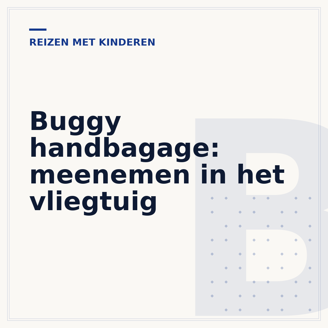 Buggy handbagage: meenemen in het vliegtuig