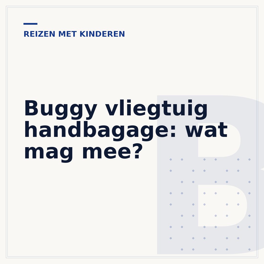 Buggy vliegtuig handbagage: wat mag mee?