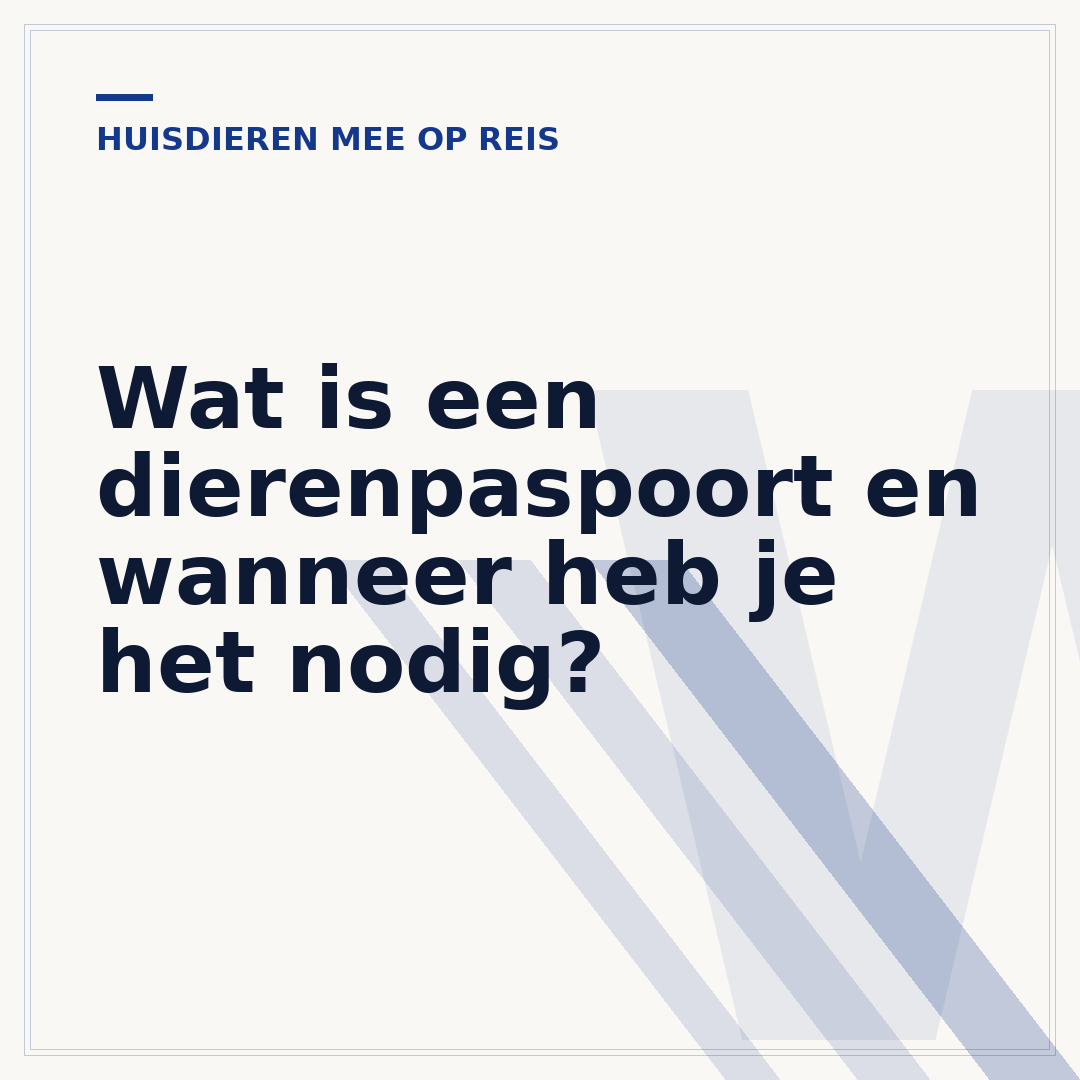 Wat is een dierenpaspoort en wanneer heb je het nodig?