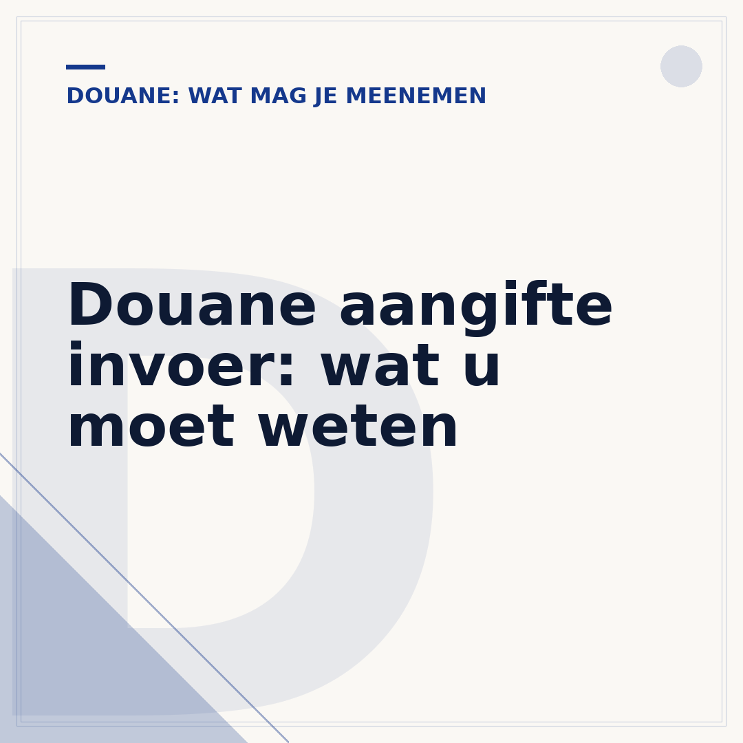 Douane aangifte invoer: wat u moet weten