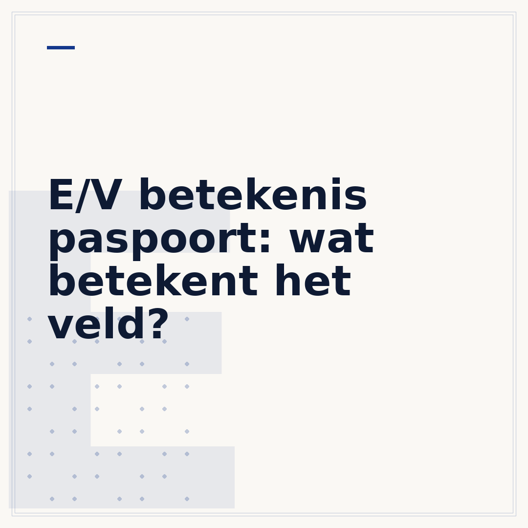 E/V betekenis paspoort: wat betekent het veld?