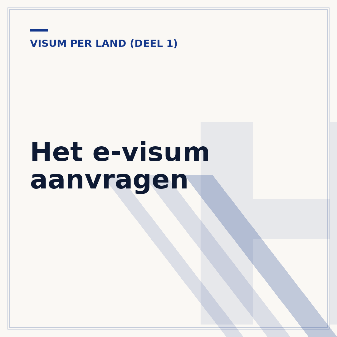 Het e-visum aanvragen