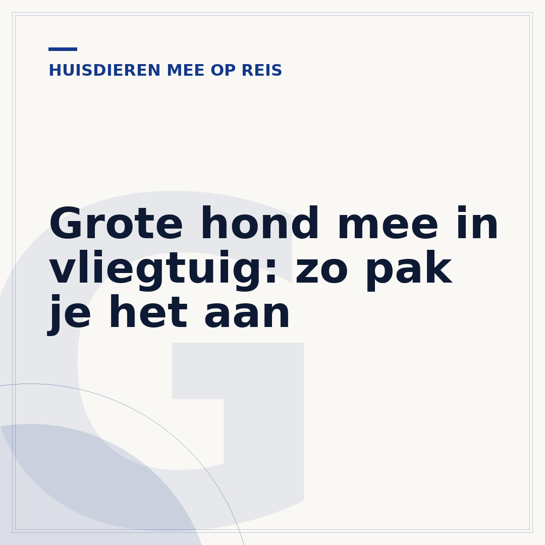 Grote hond mee in vliegtuig: zo pak je het aan