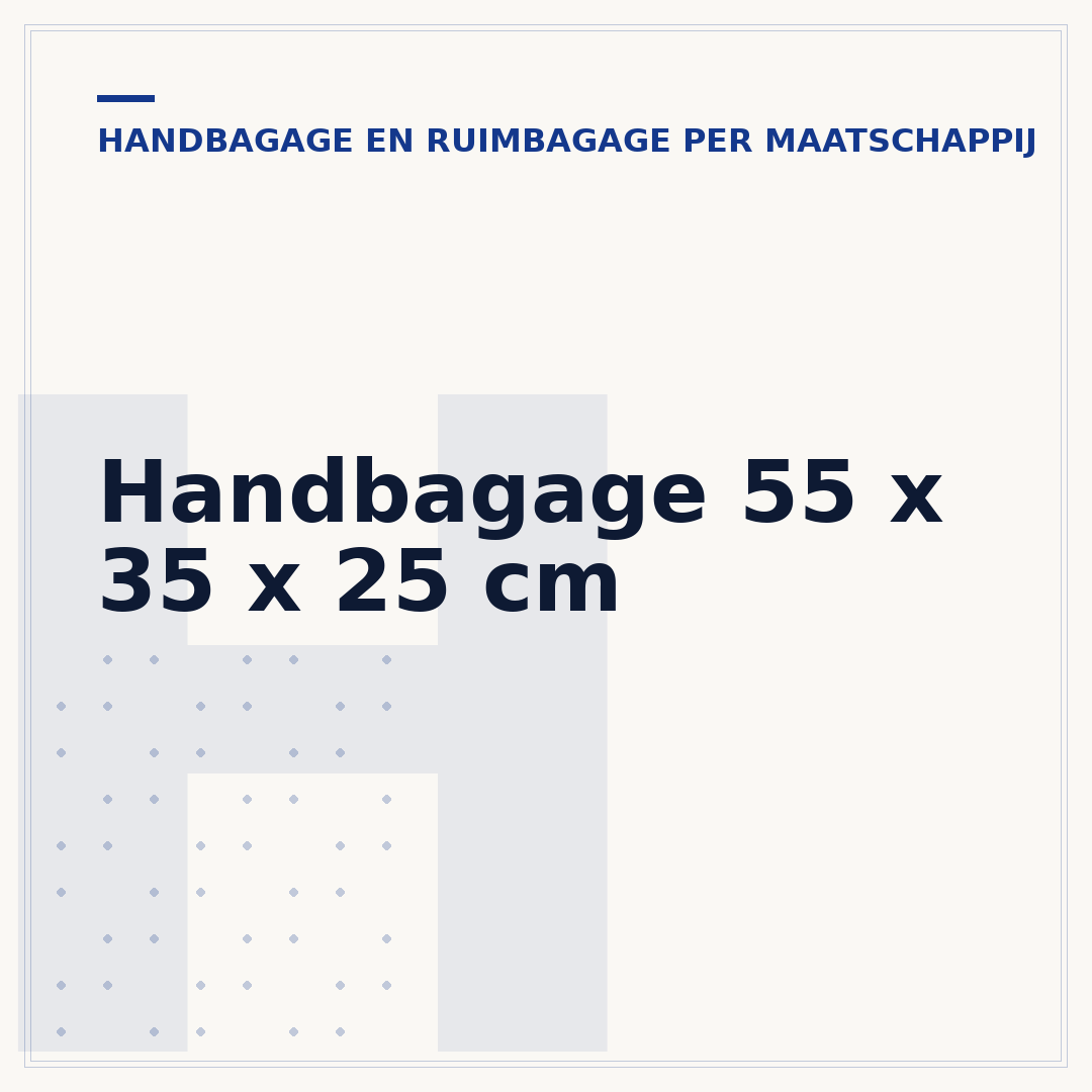 Handbagage 55 x 35 x 25 cm