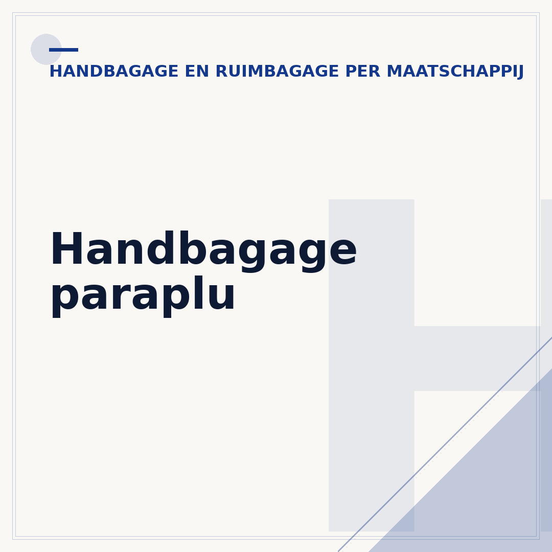 Handbagage paraplu