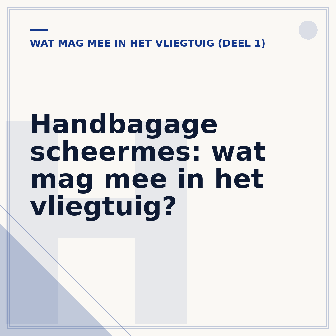 Handbagage scheermes: wat mag mee in het vliegtuig?