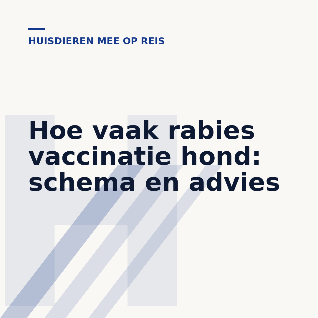 Hoe vaak rabies vaccinatie hond: schema en advies