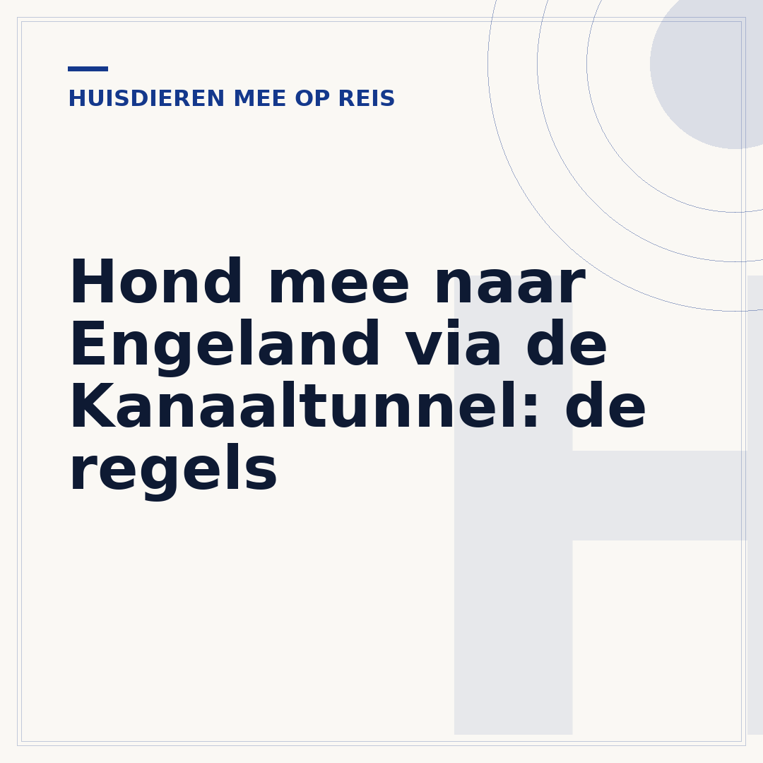 Hond mee naar Engeland via de Kanaaltunnel: de regels