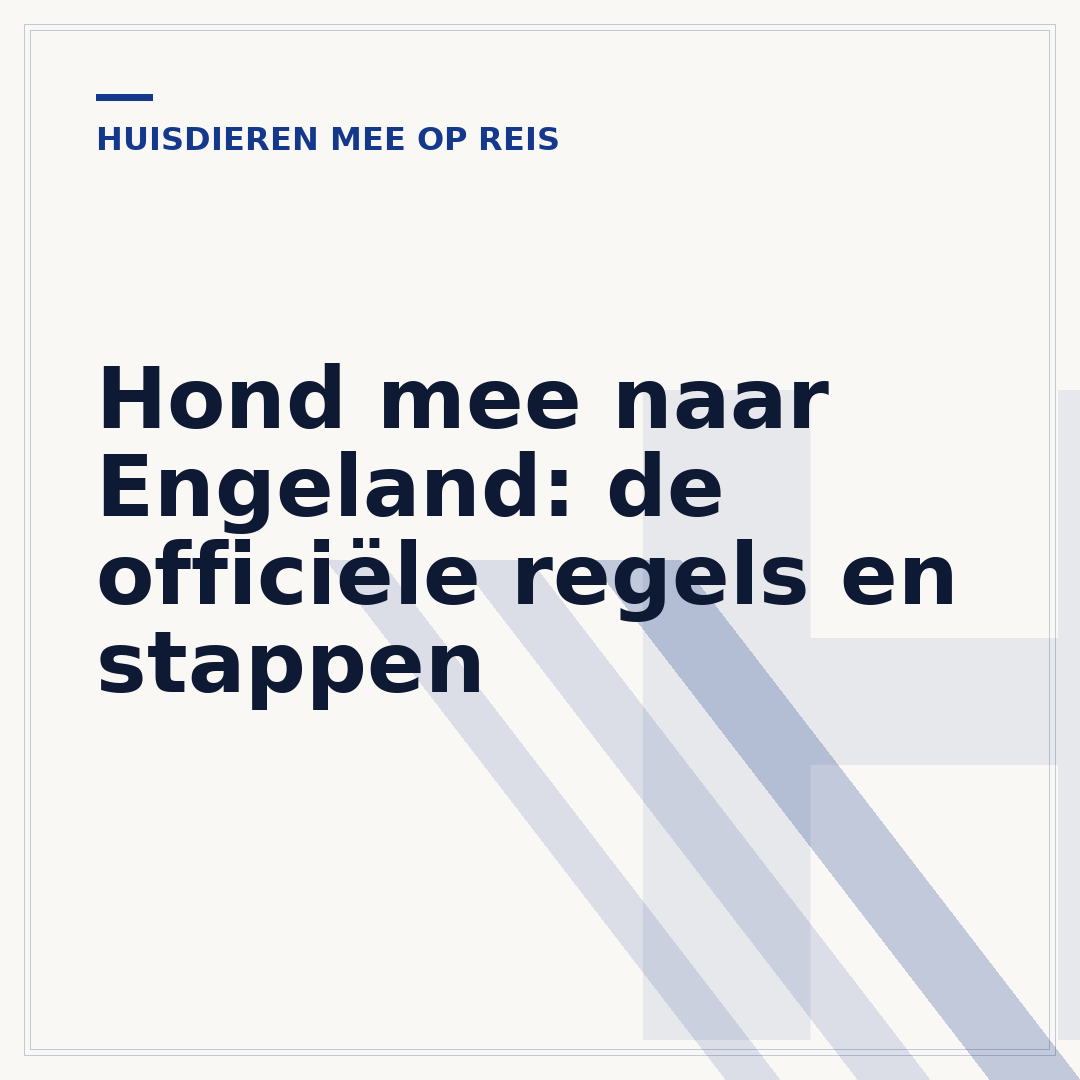 Hond mee naar Engeland: de officiële regels en stappen