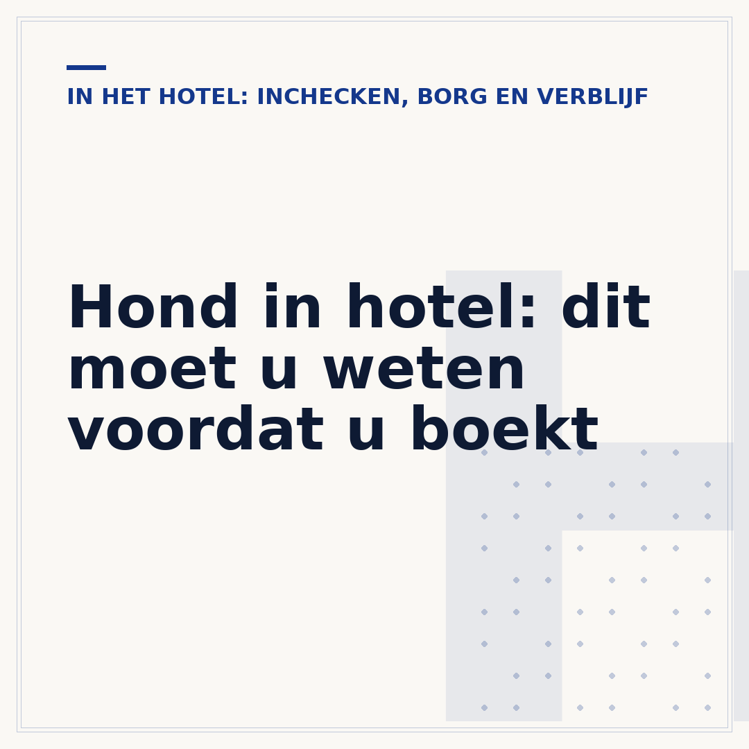 Hond in hotel: dit moet u weten voordat u boekt