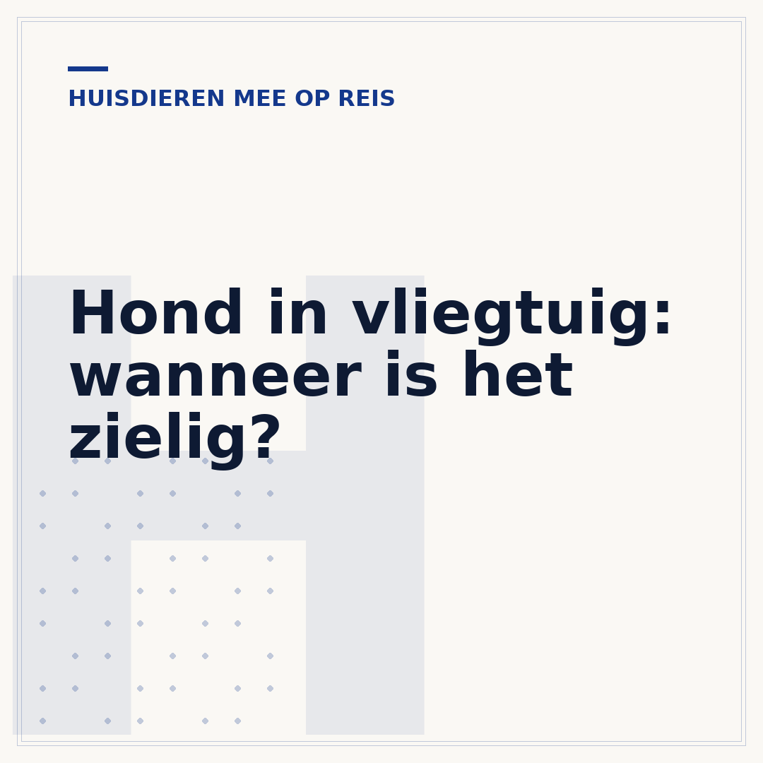 Hond in vliegtuig: wanneer is het zielig?