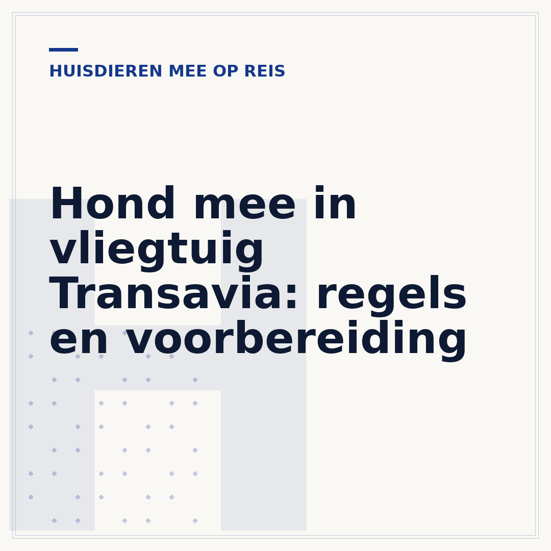 Hond mee in vliegtuig Transavia: regels en voorbereiding