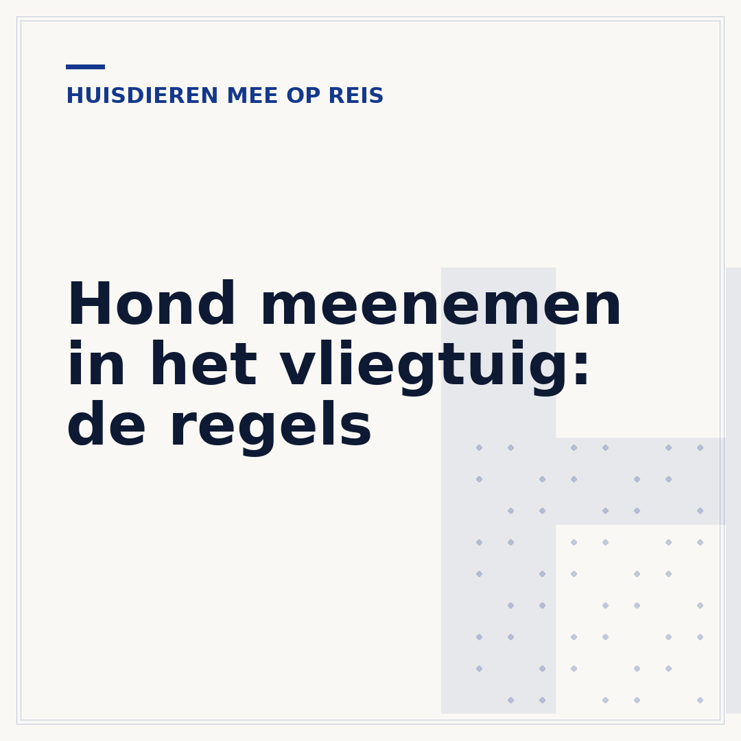 Hond meenemen in het vliegtuig: de regels