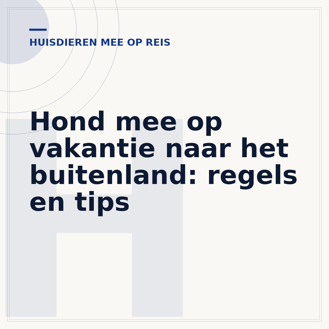 Hond mee op vakantie naar het buitenland: regels en tips