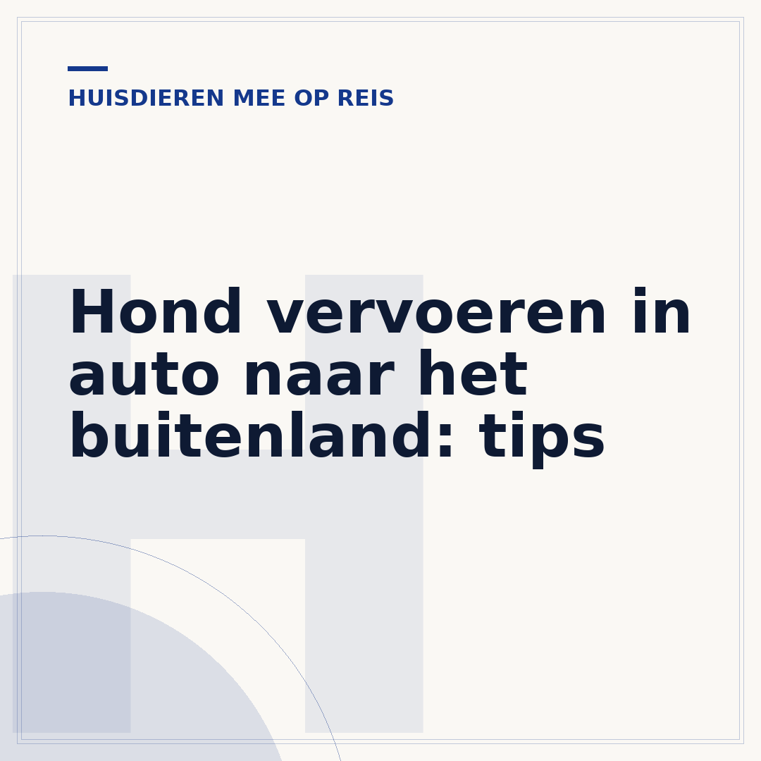 Hond vervoeren in auto naar het buitenland: tips