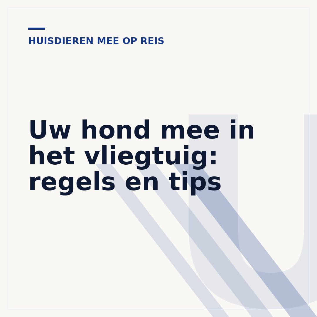 Uw hond mee in het vliegtuig: regels en tips