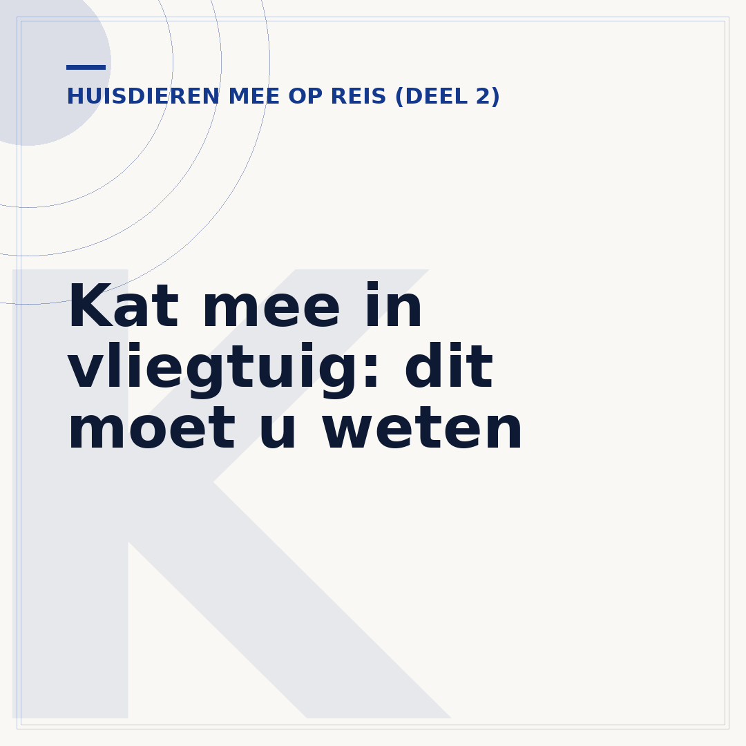Kat mee in vliegtuig: dit moet u weten