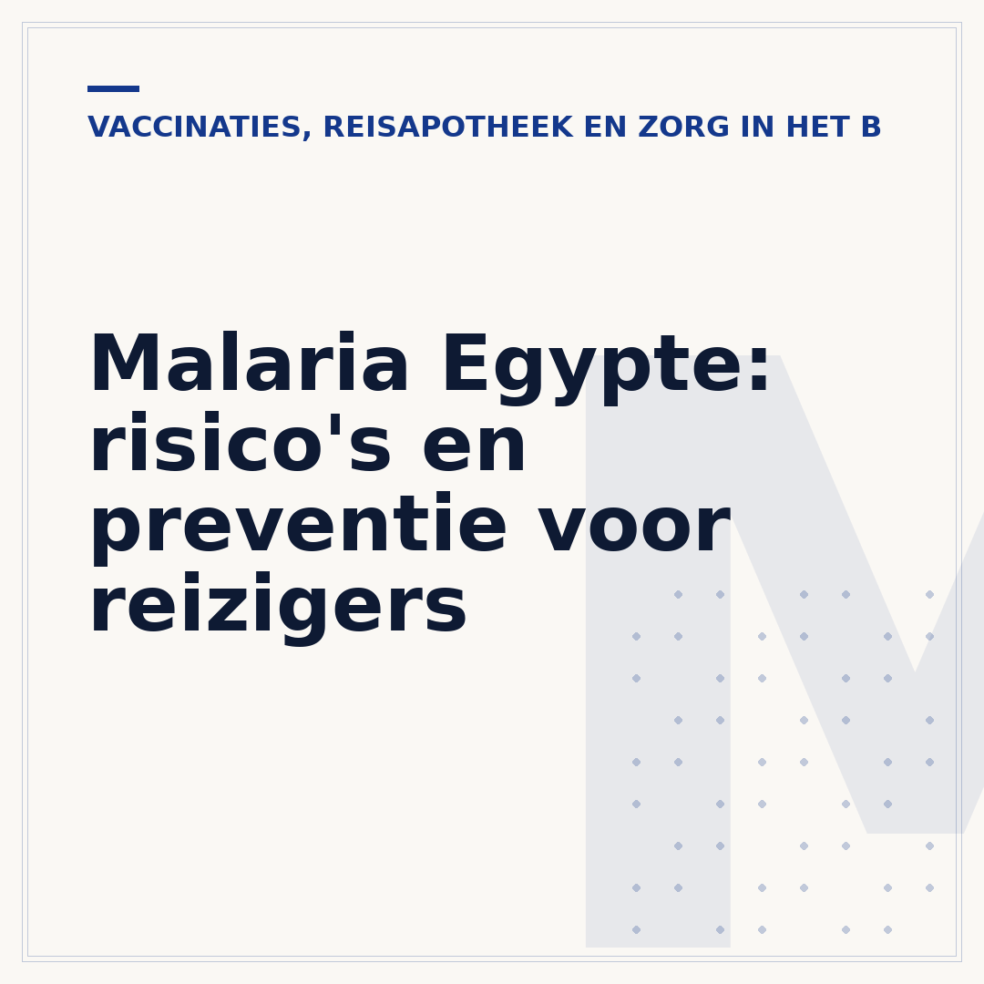 Malaria Egypte: risico's en preventie voor reizigers