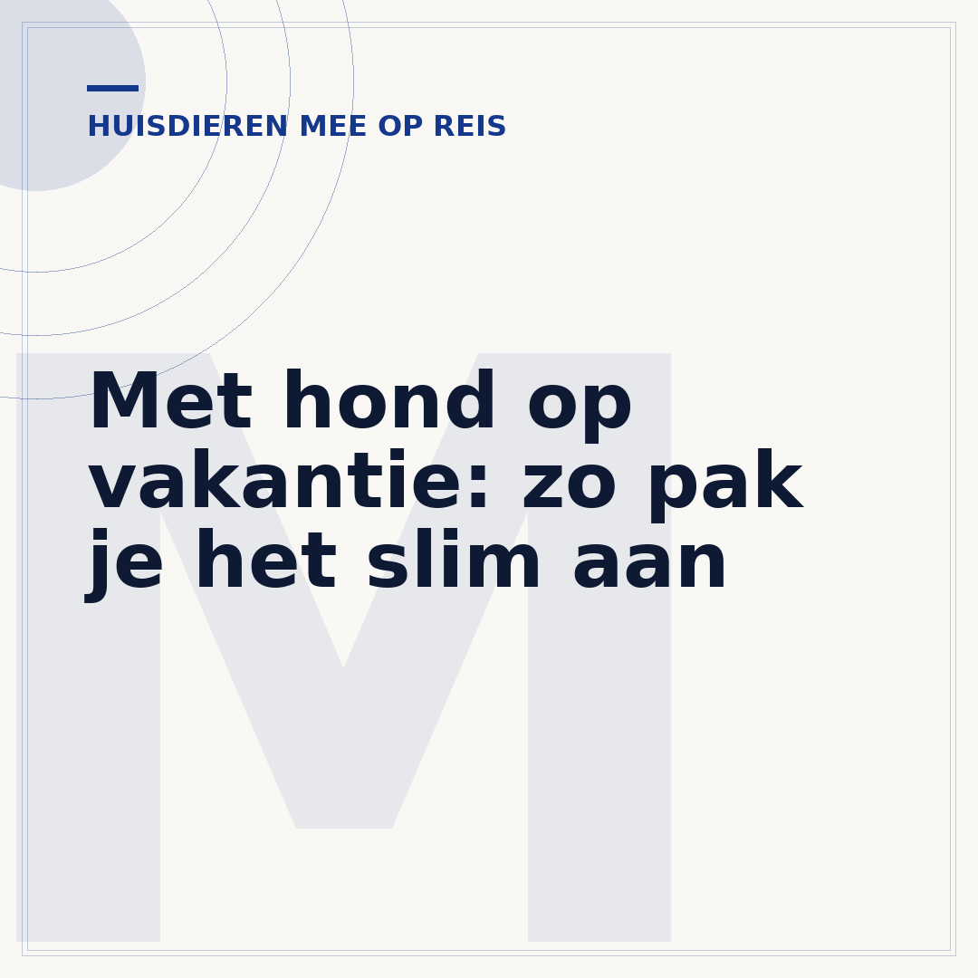 Met hond op vakantie: zo pak je het slim aan