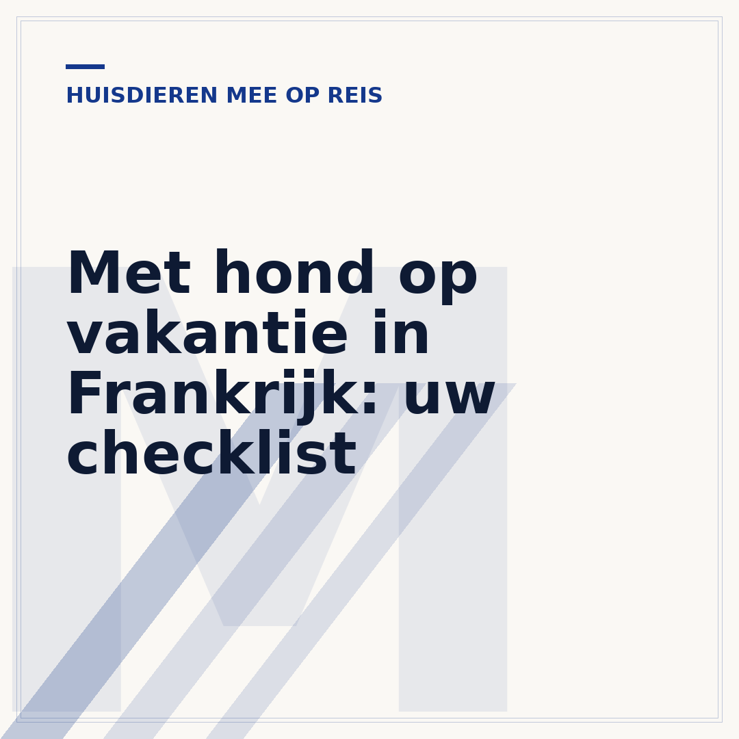 Met hond op vakantie in Frankrijk: uw checklist