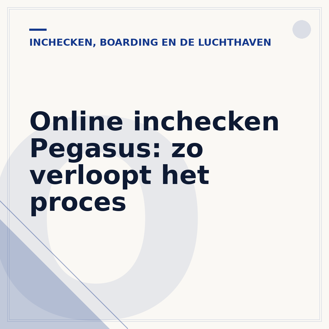 Online inchecken Pegasus: zo verloopt het proces