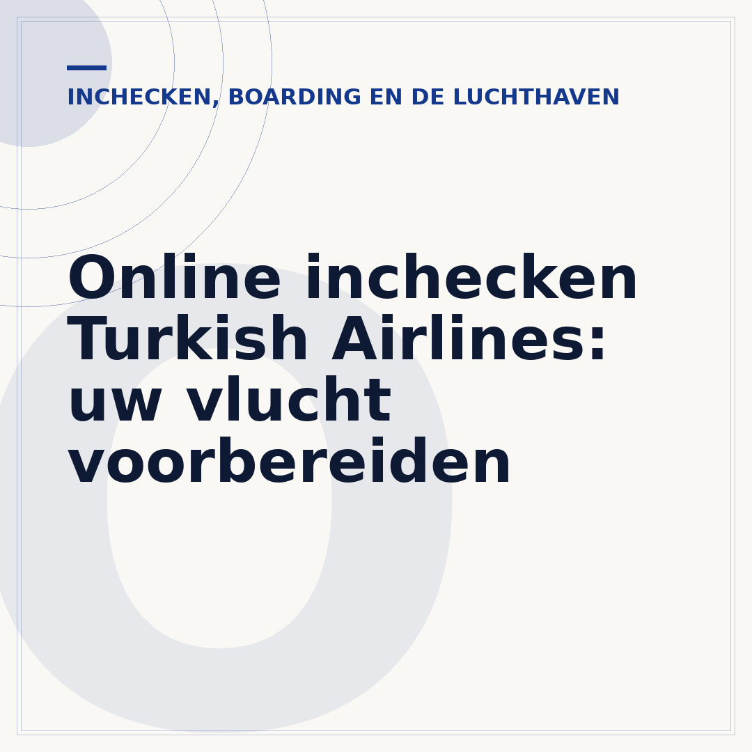 Online inchecken Turkish Airlines: uw vlucht voorbereiden