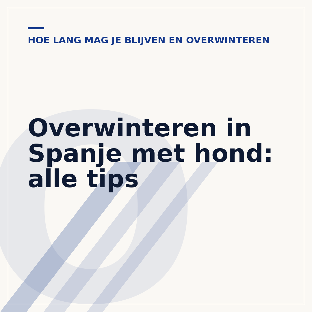 Overwinteren in Spanje met hond: alle tips