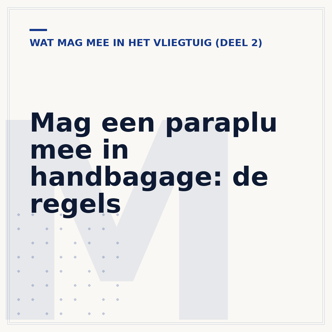 Mag een paraplu mee in handbagage: de regels