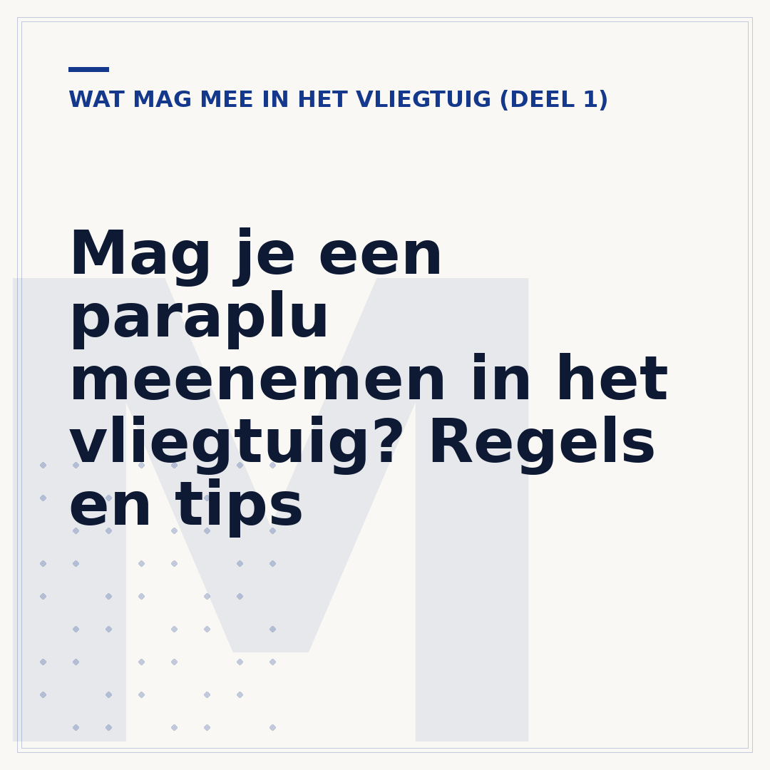 Mag je een paraplu meenemen in het vliegtuig? Regels en tips