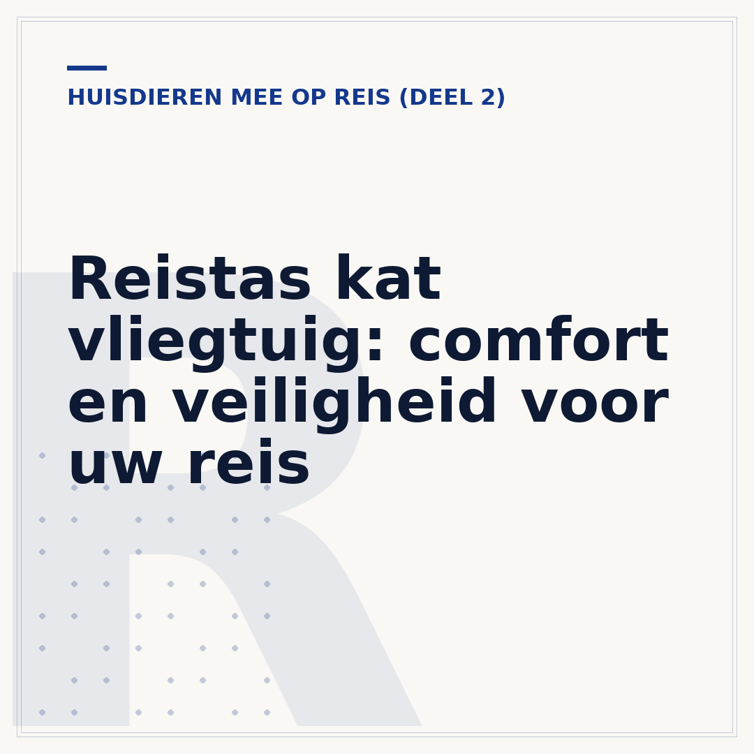 Reistas kat vliegtuig: comfort en veiligheid voor uw reis