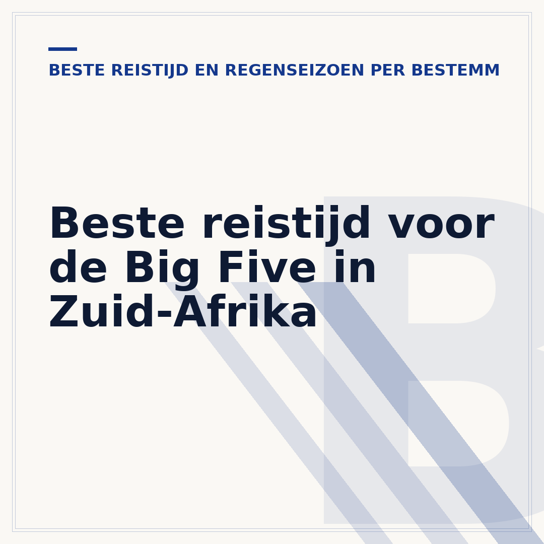 Beste reistijd voor de Big Five in Zuid-Afrika