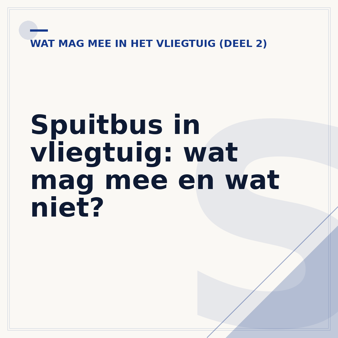 Spuitbus in vliegtuig: wat mag mee en wat niet?