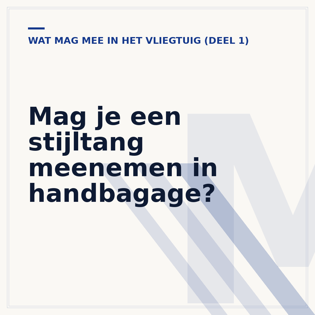 Mag je een stijltang meenemen in handbagage?