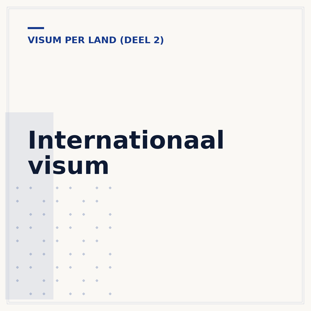 Internationaal visum