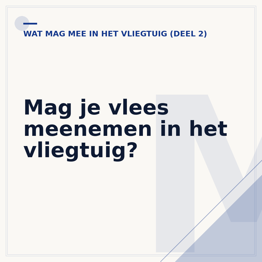 Mag je vlees meenemen in het vliegtuig?