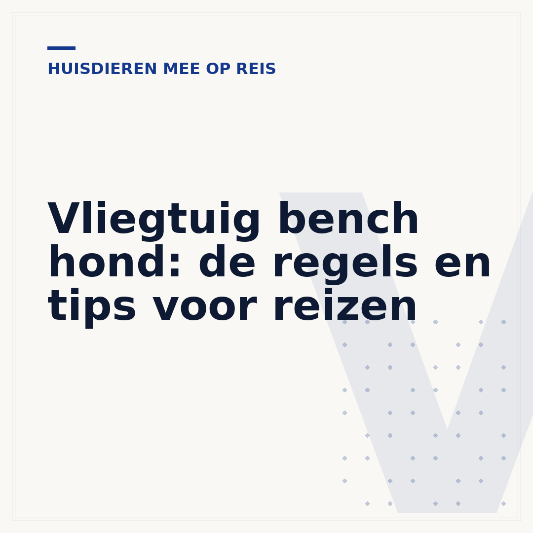 Vliegtuig bench hond: de regels en tips voor reizen