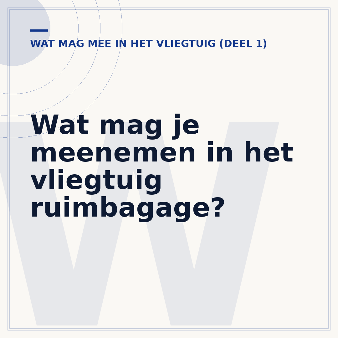 Wat mag je meenemen in het vliegtuig ruimbagage?