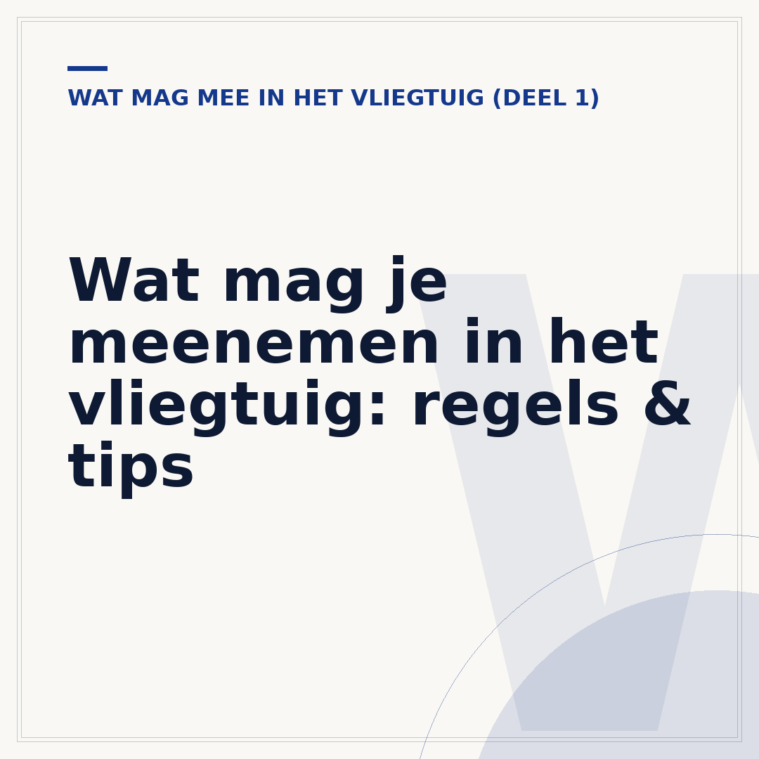 Wat mag je meenemen in het vliegtuig: regels & tips